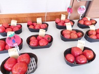 トマト各種